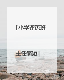 小学评语班主任简短