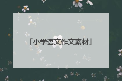 小学语文作文素材