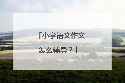 小学语文作文怎么辅导?