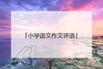 小学语文作文评语