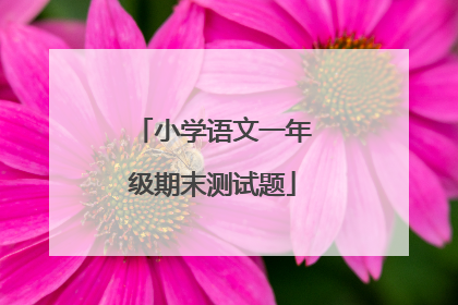 小学语文一年级期末测试题