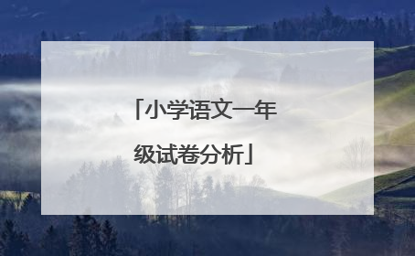 小学语文一年级试卷分析