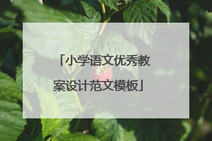 小学语文优秀教案设计范文模板