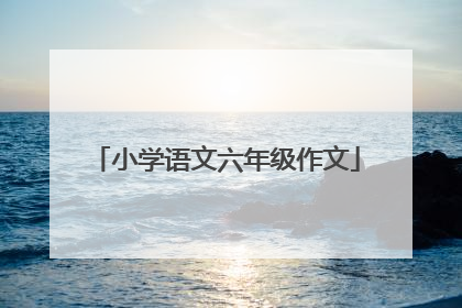 小学语文六年级作文