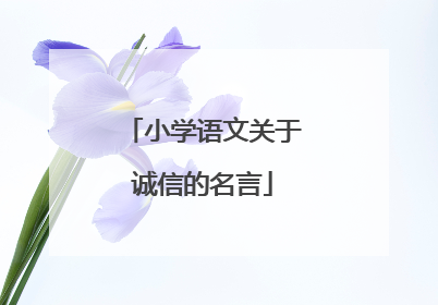 小学语文关于诚信的名言