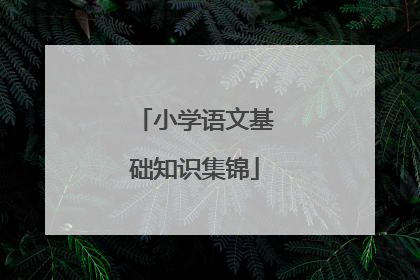 小学语文基础知识集锦