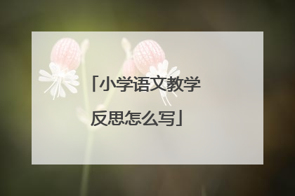 小学语文教学反思怎么写