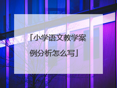 小学语文教学案例分析怎么写