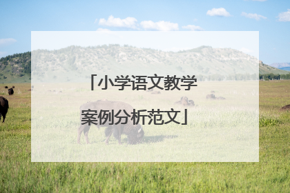 小学语文教学案例分析范文