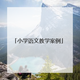 小学语文教学案例