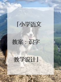 小学语文教案：识字教学设计