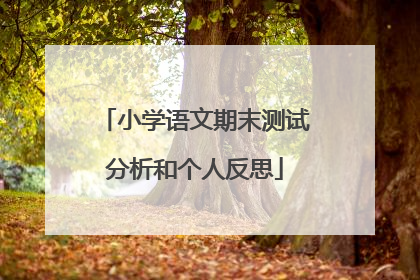 小学语文期末测试分析和个人反思