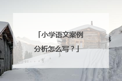 小学语文案例分析怎么写?