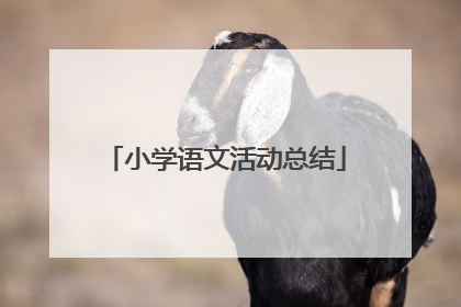 小学语文活动总结