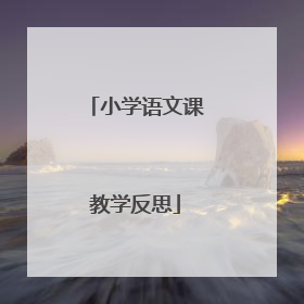 小学语文课教学反思