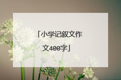 小学记叙文作文400字