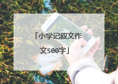 小学记叙文作文500字