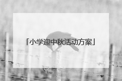 小学迎中秋活动方案