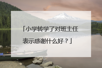 小学转学了对班主任表示感谢什么好?