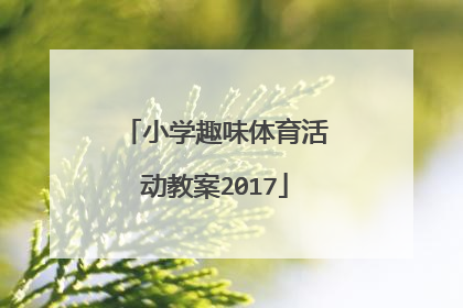 小学趣味体育活动教案2017