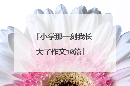 小学那一刻我长大了作文10篇