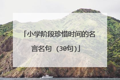 小学阶段珍惜时间的名言名句 (30句)