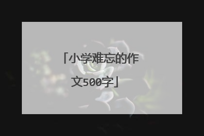 小学难忘的作文500字