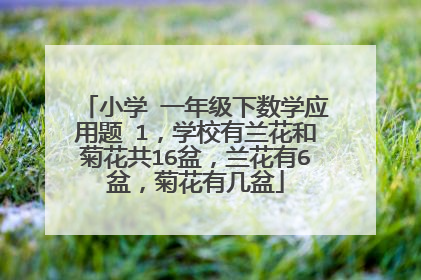 小学 一年级下数学应用题 1，学校有兰花和菊花共16盆，兰花有6盆，菊花有几盆