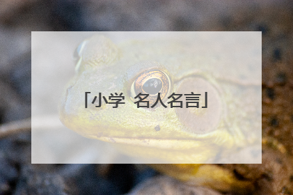 小学 名人名言