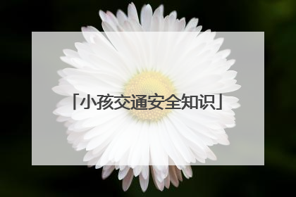小孩交通安全知识