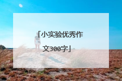 小实验优秀作文300字
