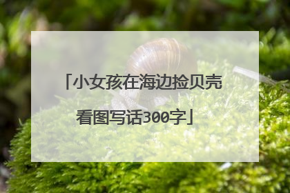 小女孩在海边捡贝壳看图写话300字