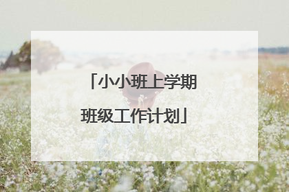 小小班上学期班级工作计划
