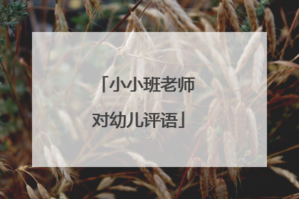 小小班老师对幼儿评语