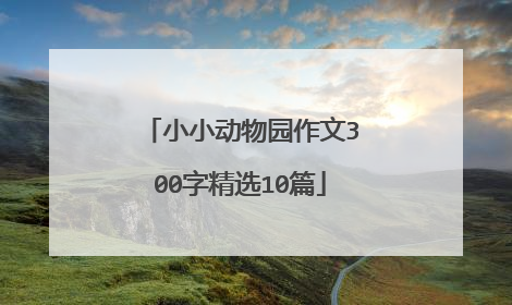 小小动物园作文300字精选10篇