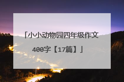 小小动物园四年级作文400字【17篇】