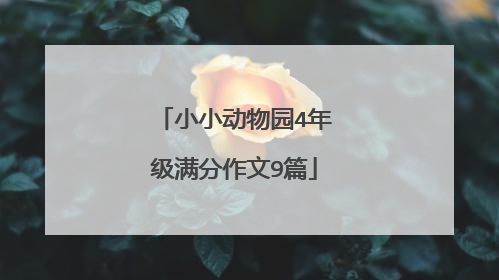 小小动物园4年级满分作文9篇