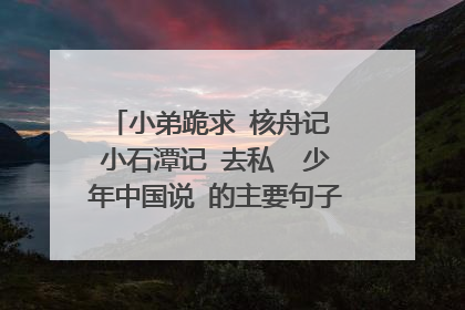 小弟跪求 核舟记 小石潭记 去私  少年中国说 的主要句子解释 加点字