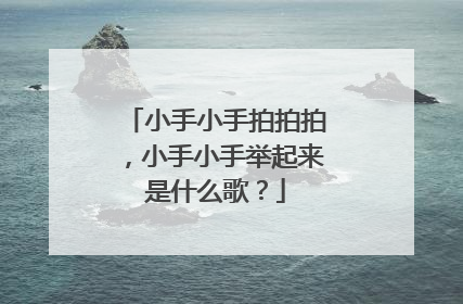 小手小手拍拍拍,小手小手举起来是什么歌?
