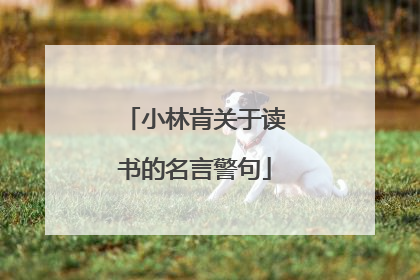 小林肯关于读书的名言警句