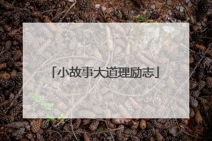 小故事大道理励志