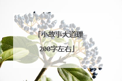 小故事大道理200字左右