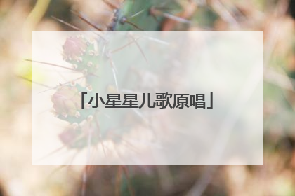 小星星儿歌原唱