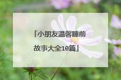 小朋友温馨睡前故事大全10篇