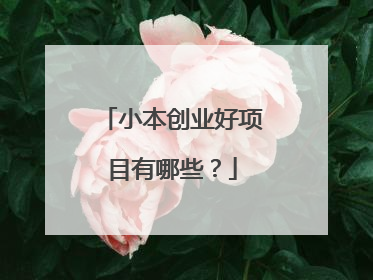 小本创业好项目有哪些?