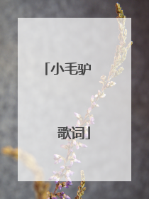 小毛驴 歌词