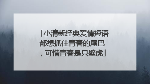 小清新经典爱情短语 都想抓住青春的尾巴,可惜青春是只壁虎