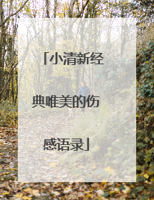 小清新经典唯美的伤感语录