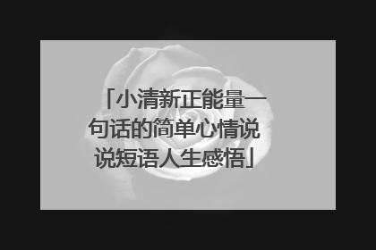 小清新正能量一句话的简单心情说说短语人生感悟