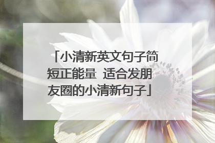 小清新英文句子简短正能量 适合发朋友圈的小清新句子